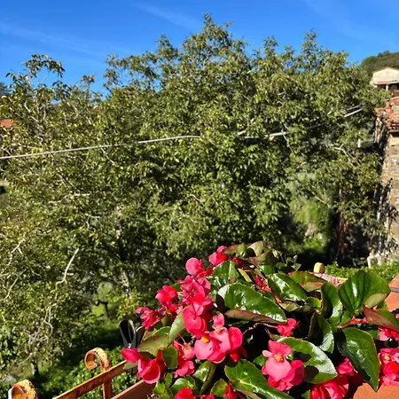 Сasa de vacaciones Casa Ginevra *